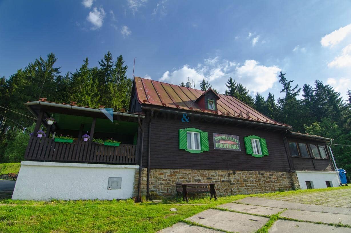 Dorotanka - fotojarinko.cz-0019.jpg